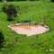 REBANHO DE BOVINOS EM CÍRCULO A UMA POÇA DE AGUA EM FAZENDA AS MARGENS DA FERROVIA CARAJÁS - MA KM - 492
