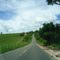 BR - 222 ENTRE AÇAILANDIA  E BOM JESUS DAS SELVAS - MA BRASIL