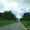 ROD. BR - 222 ENTRE AÇAILANDIA E BOM JESUSDAS SELVAS - MA BRASIL