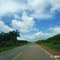 PLANTAÇÕES DE EUCALÍPTOS AS MARGENS DA ROD. BR - 222 ZONA RURAL DE AÇAILANDIA - MA BRASIL