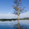 Lake Cypress