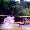 Rio do peixe Ponte Nova