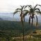 Mirante