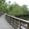 Colohatchee Park Boardwalk
