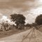 estrada de ferro nostálgica 郷愁を誘う鉄道