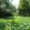 Ravine Gardens State Park