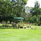 cemiterio park
