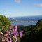 Região Oceânica - Niterói - RJ - by LAMV