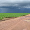 chuva