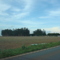 Fazenda São Roque
