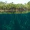 Lagoa Azul 1 - Vegetação 01