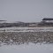 Catle Ranch