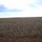 Cadastro de Compromisso Socioambiental - Fazenda Tapejara 2 - Cadastrada desde 2010