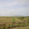 Cerrado na região do água Boa. RR