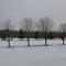 Glen Miller Park Richmond In
