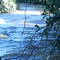 Rio das Pedras - Quirinópolis - Goiás