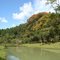 Árvore e lago - Floresta Nacional de Passa Quatro -IBAMA