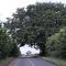 Linda árvore cobrindo a rodovia, perto da fazenda de laranja da Cutrale. rodovia Vicinal Motuca-Rincão