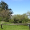 Arroio - Cassino, RS, Brasil.