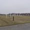 Scott-Kiester Cemetery