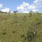 DSC03240