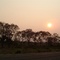 Nascer do sol em Miranda  - Mato Grosso do Sul