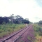 Estrada de ferro-  Miranda-MS   janeiro de 1995