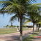 Praia Grande/SP