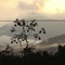 Serra do Mar