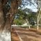 Juti - Praça da Matriz