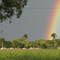 arco iris