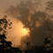 sunrise in the jungle - along the Transgarimpeira