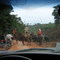 "congestion" along the Transgarimpeira