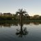 Reflexo!