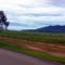 Estrada - Santa Catarina