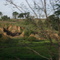 Vóssoroca Margens da BR 487