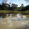 Lago Parque Ecológico