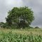 FAZENDA RIO GRANDE ÁREA RURAL