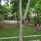 Oasis verde em Itaipuaçu