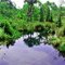 Rio Inominado