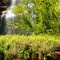 Cachoeira das Andorinhas