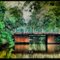 Parque dos Saltos - Brotas - SP - BRASIL.(Click to enlarge)