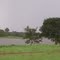 LAGO FAZENDA INDIARA