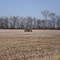 Mud master in the field