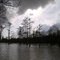 Unexpected Bayou - Beaverdam Lake