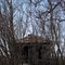 Playing hide and seek with a house.  Decaying field home.