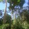 AMAPÁ-BRASIL