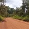 Estrada de acesso à mina da Beadell Brasil. Serra do Navio.  AP.