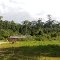 Assentamento. Casa de Colono. Serra do Navio. Amapá