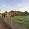 fim de tarde no sitio